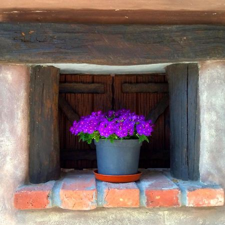 Casa Rural El Cotu En Onís 외부 사진