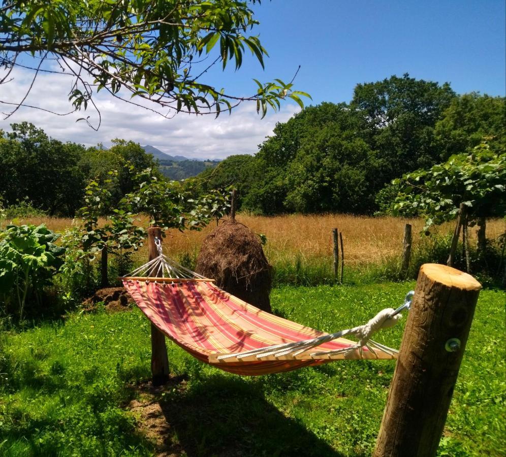 Casa Rural El Cotu En Onís 외부 사진