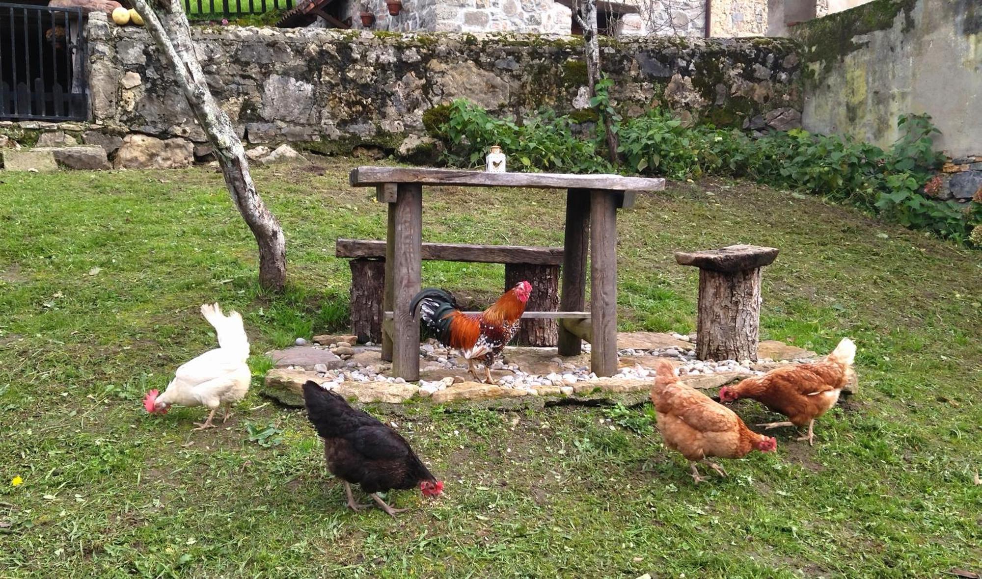 Casa Rural El Cotu En Onís 외부 사진